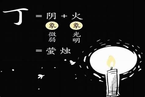 丁火怎麼算|十天干命主白話解說